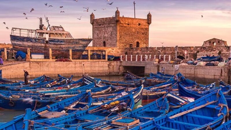 From Marrakech : Day Trip To Essaouira Mogador - Services Included in the Trip
