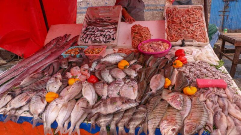 From Marrakech : Day Trip To Essaouira Mogador - Important Information to Note
