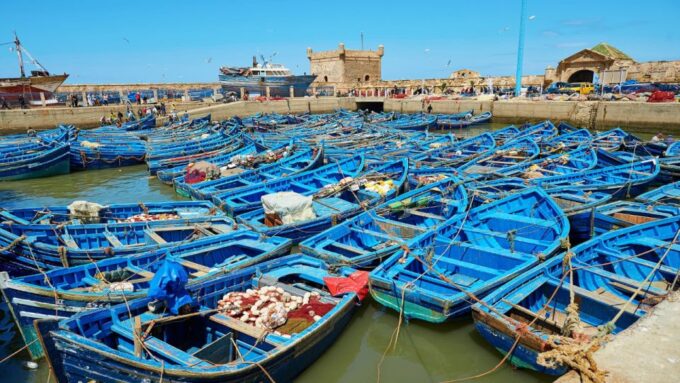 From Marrakech : Day Trip To Essaouira Mogador - Transportation and Pickup Details