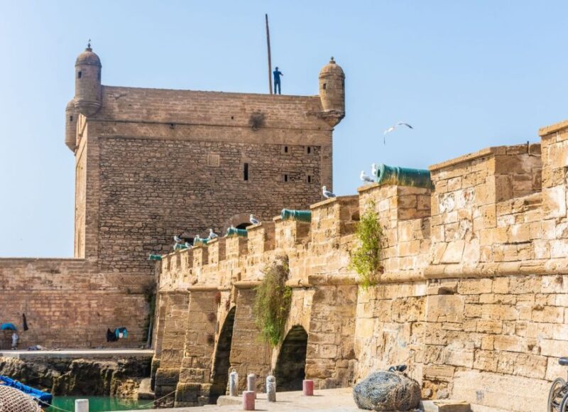 From Marrakech: Day Trip to Essaouira - Transportation and Accessibility