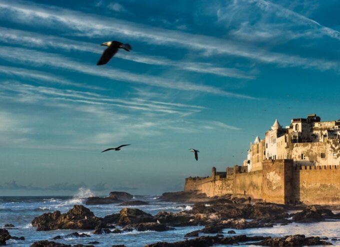 From Marrakech: Day Trip to Essaouira - Booking and Cancellation