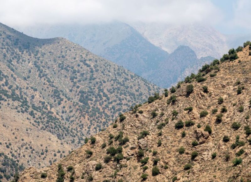 From Marrakech: Day Trip to Ourika Valley - Key Points