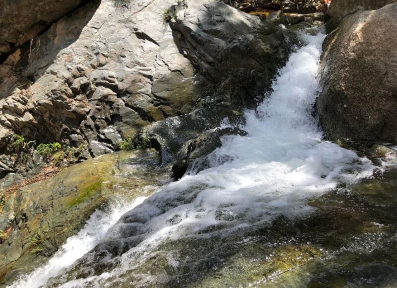 From Marrakech: Day Trip to Ourika Valley - Experience and Activities