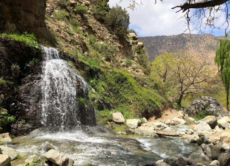 From Marrakech: Day Trip to Ourika Valley - Inclusion and Exclusions