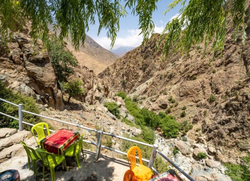 From Marrakech: Day Trip to Ourika Valley - Customer Feedback