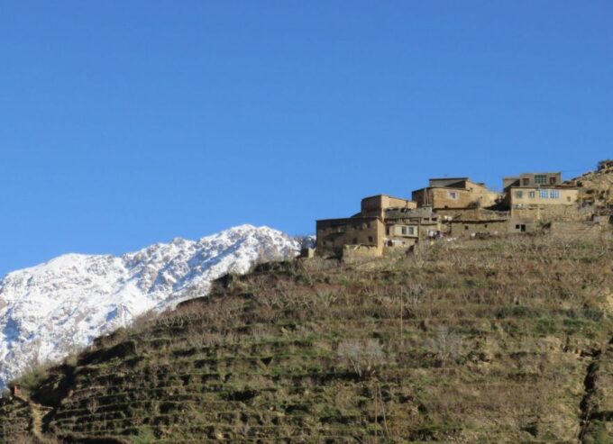 From Marrakech: Day Trip to Ourika Valley - Pricing and Availability