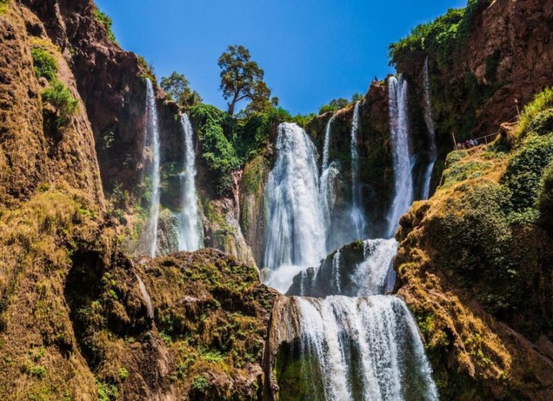 From Marrakech: Day Trip to Ouzoud Waterfalls - Key Points