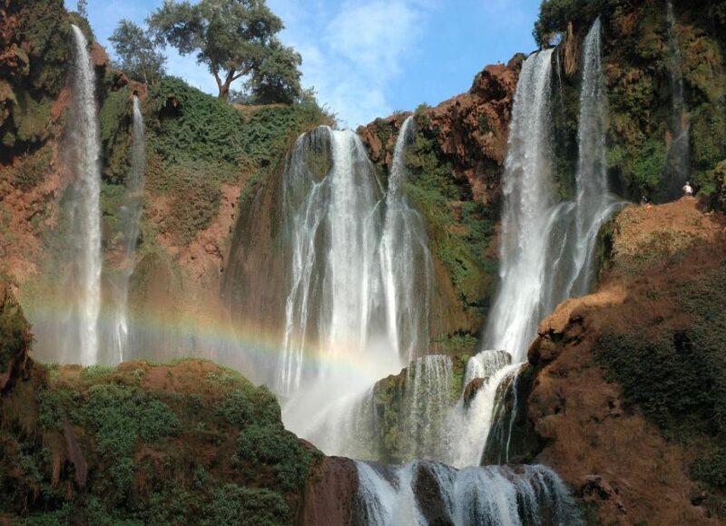 From Marrakech: Day Trip to Ouzoud Waterfalls - Pricing and Inclusions