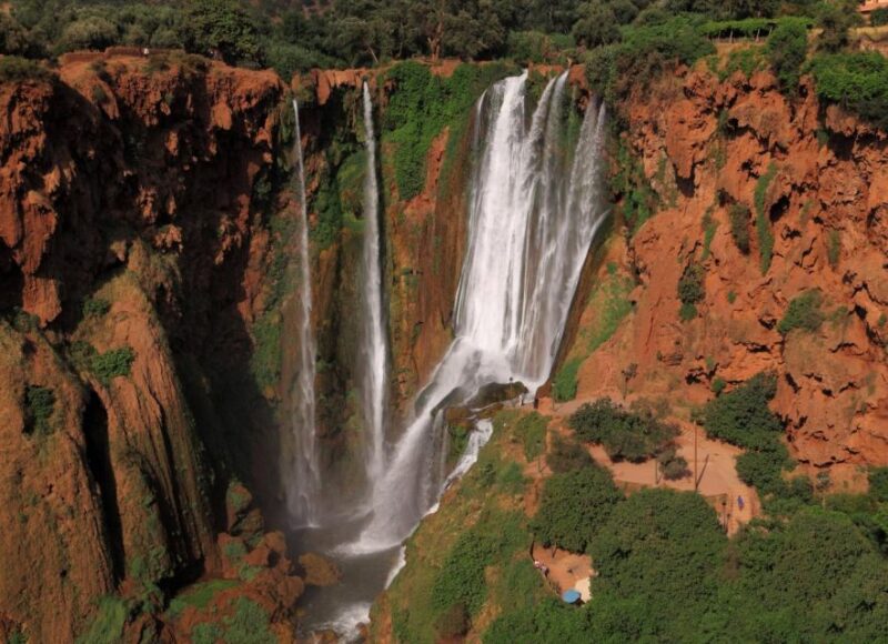 From Marrakech: Day Trip to Ouzoud Waterfalls - Highlights of the Excursion