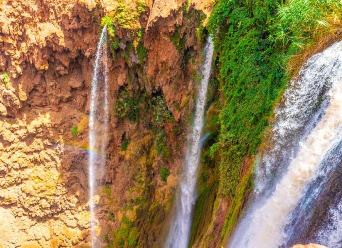 From Marrakech: Day Trip to Ouzoud Waterfalls - Dining and Meal Information