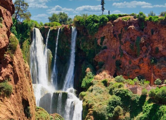 From Marrakech: Day Trip to Ouzoud Waterfalls - Customer Ratings and Feedback