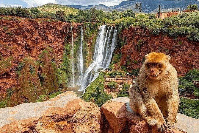 From Marrakech: Day Trip to Ouzoud Waterfalls Guided & Boat Ride - Inclusions and Features