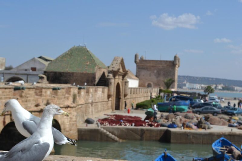 From Marrakech: Day Trip to the Coastal Town of Essaouira - Itinerary Highlights