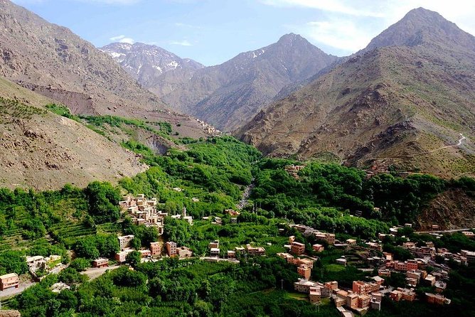 From Marrakech: Desert Agafay & Atlas Mountains Full-Day Trip - Health and Safety