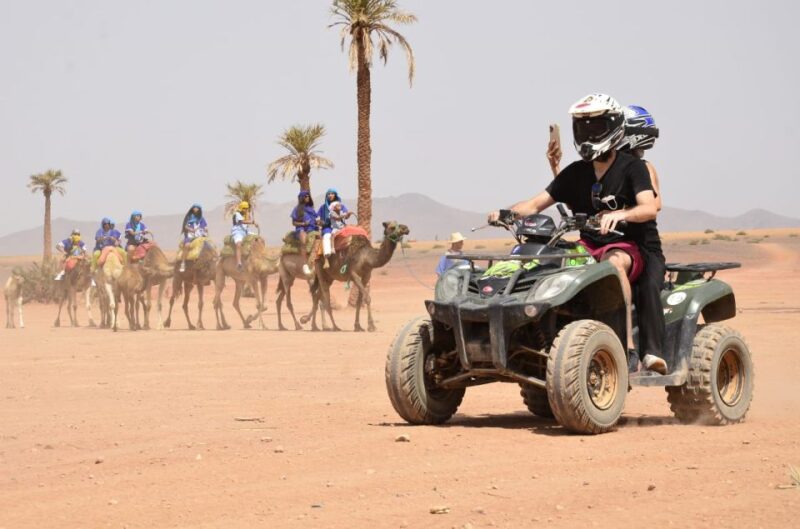 From Marrakech: Desert Sunset Quad Tour and Camel Ride - Key Points