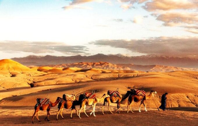 From Marrakech: Dinner in Agafay Desert With Sunset & Stars - Transportation and Accessibility