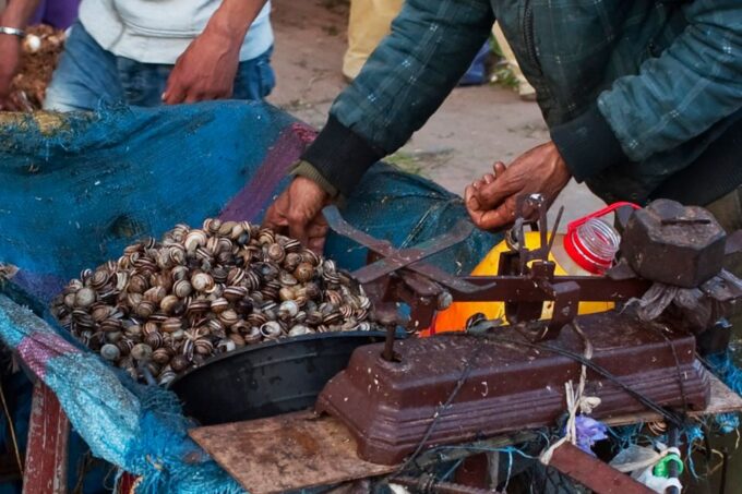 From Marrakech: Essaouira & Atlantic Coast Full-Day Trip - Berber Argan Oil Experience