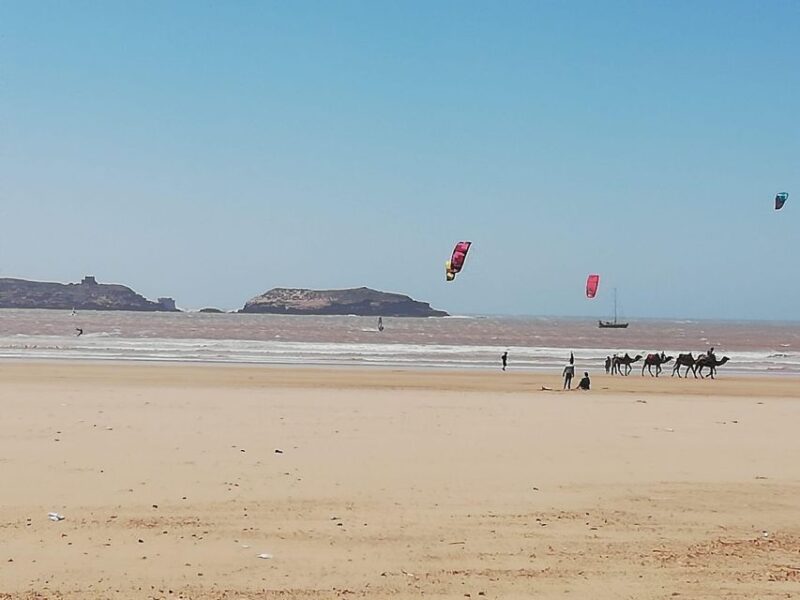 From Marrakech: Essaouira Coastal City Day Trip - Itinerary Details