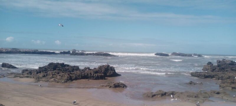 From Marrakech: Essaouira Coastal City Day Trip - Attractions and Sightseeing