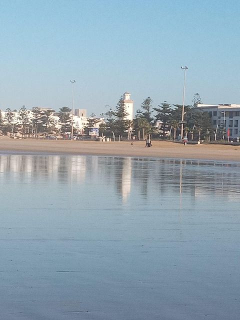 From Marrakech: Essaouira Coastal City Day Trip - Local Souks and Shopping