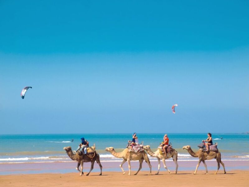 From Marrakech: Essaouira Full-Day Trip - Key Points
