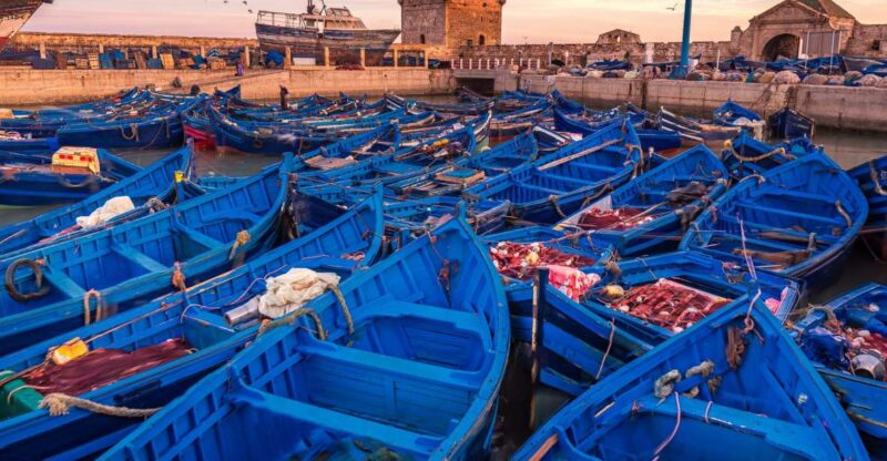 From Marrakech: Essaouira Full-Day Trip - Itinerary Details