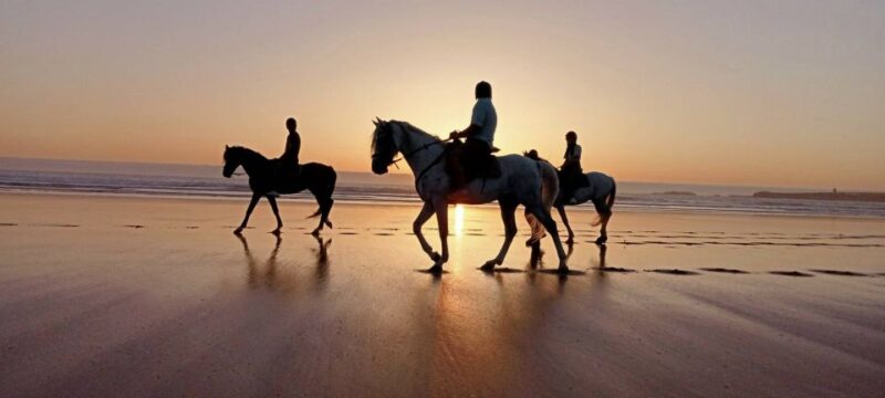 From Marrakech: Essaouira Full-Day Trip - Highlights and Activities