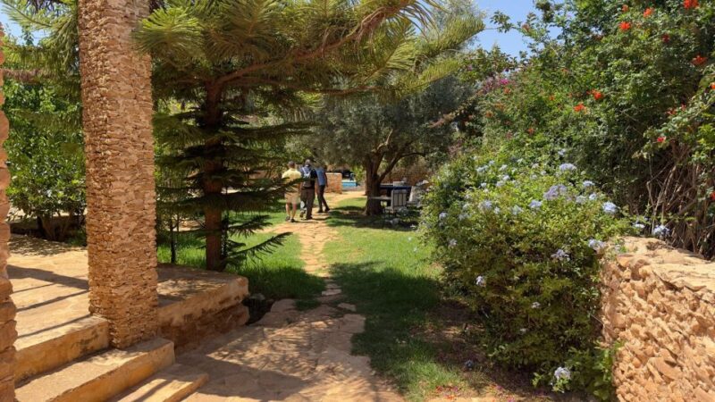 From Marrakech: Essaouira Full-Day Trip With Wine & Lunch - Customer Feedback