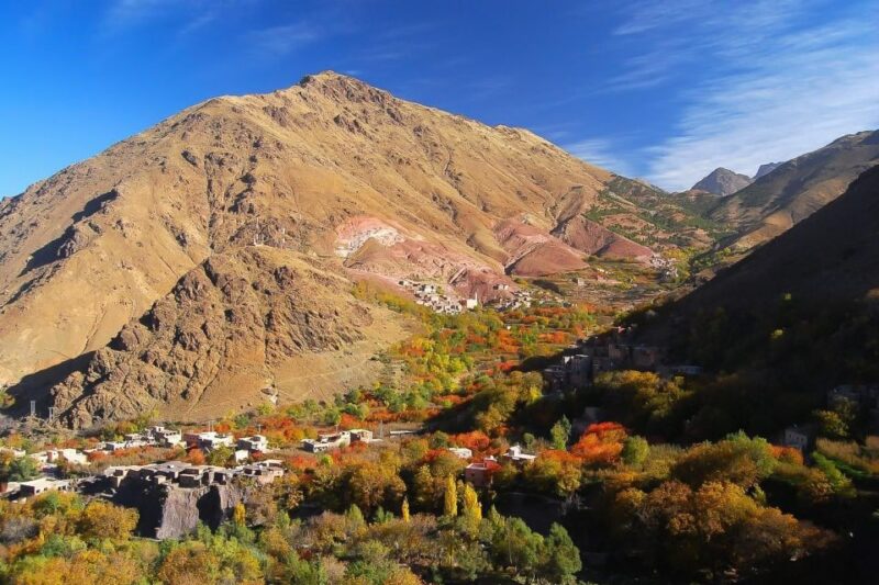 From Marrakech: Full-Day Atlas Mountain Berber Tour - Key Points