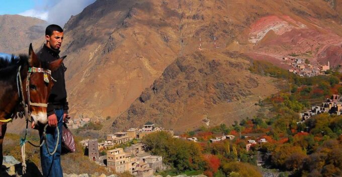 From Marrakech: Full-Day Atlas Mountain Berber Tour - Frequently Asked Questions