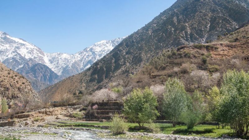 From Marrakech :Full-Day Atlas Mountains and Agafay Desert - Pickup and Transportation