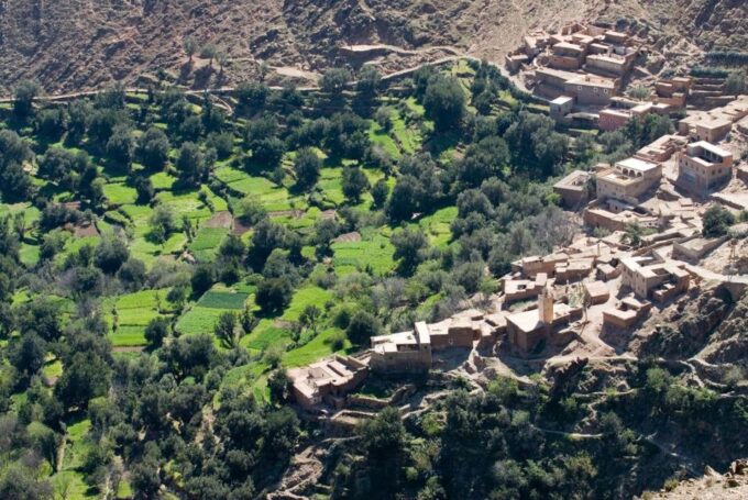 From Marrakech :Full-Day Atlas Mountains and Agafay Desert - Participant Restrictions and Inclusions