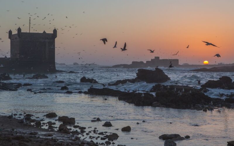 From Marrakech: Full-Day Private Trip to Essaouira - Key Points
