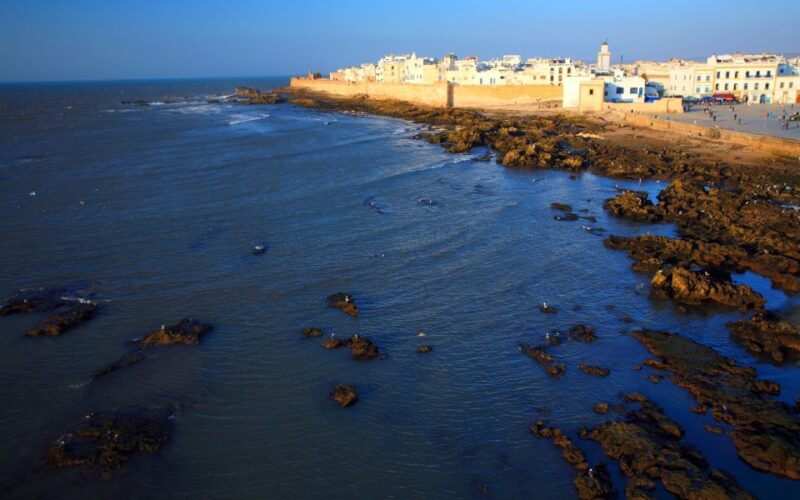From Marrakech: Full-Day Private Trip to Essaouira - Itinerary Highlights