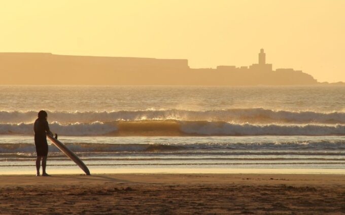 From Marrakech: Full-Day Private Trip to Essaouira - Indulging in Local Seafood