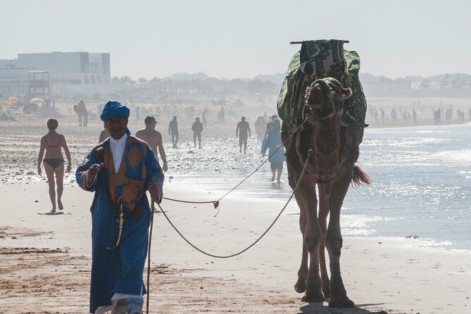 From Marrakech Full-Day Tour to Agadir - Key Points