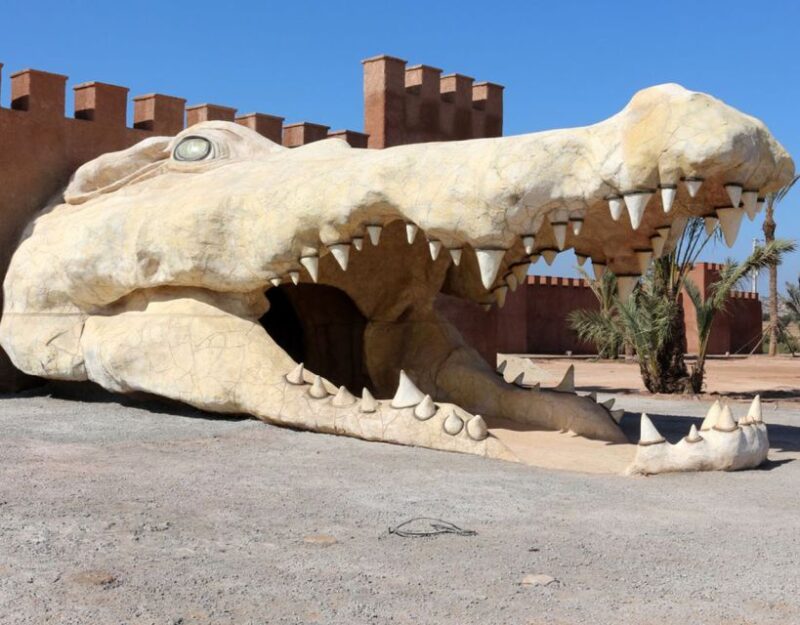 From Marrakech: Full-Day Trip to Agadir - Booking Information