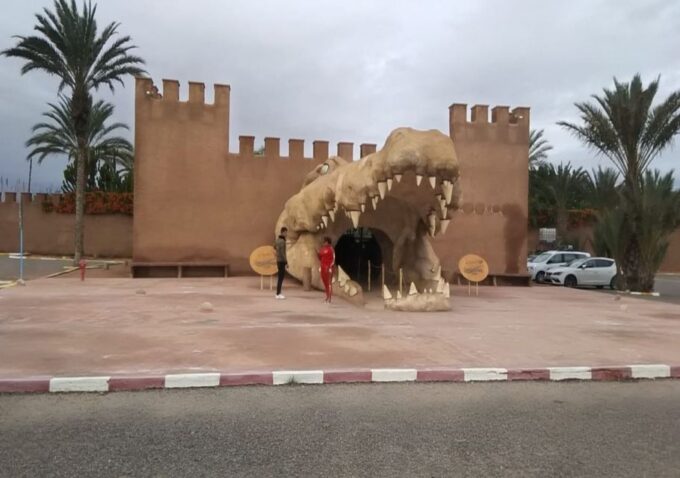 From Marrakech: Full-Day Trip to Agadir - Scenic Drive Through Countryside