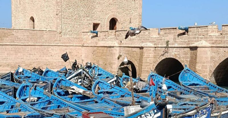 From Marrakech : Full Day Trip to Essaouira - Key Points