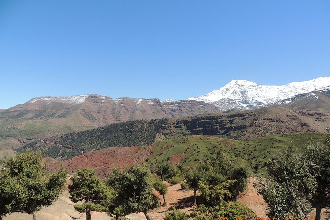 From Marrakech Full Day Trip To Ourika Valley Atlas Mountains - Additional Information