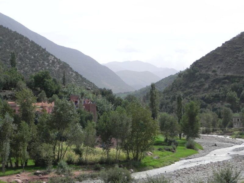 From Marrakech: Guided Full-Day Trip to Ourika Valley - Preparation and Restrictions