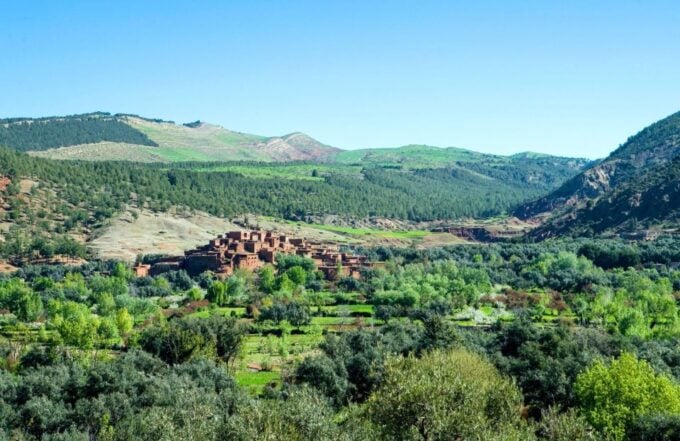 From Marrakech: Guided Full-Day Trip to Ourika Valley - Customer Reviews