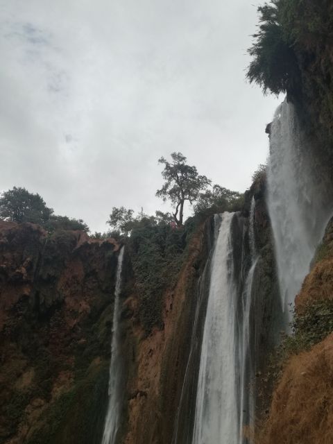 From Marrakech: Guided Trip to Ouzoud Waterfalls & Boat Ride - Customer Feedback