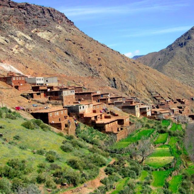 From Marrakech: High Atlas Mountains and 4 Valleys Day Trip - Customer Reviews