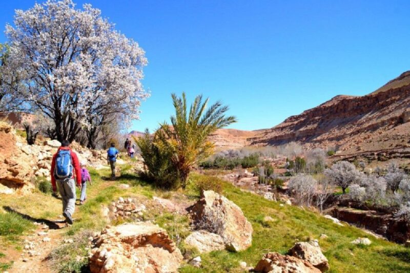 From Marrakech: Ijoukak & Ouirgane Lake Day Tour - Moulay Brahim Gorges