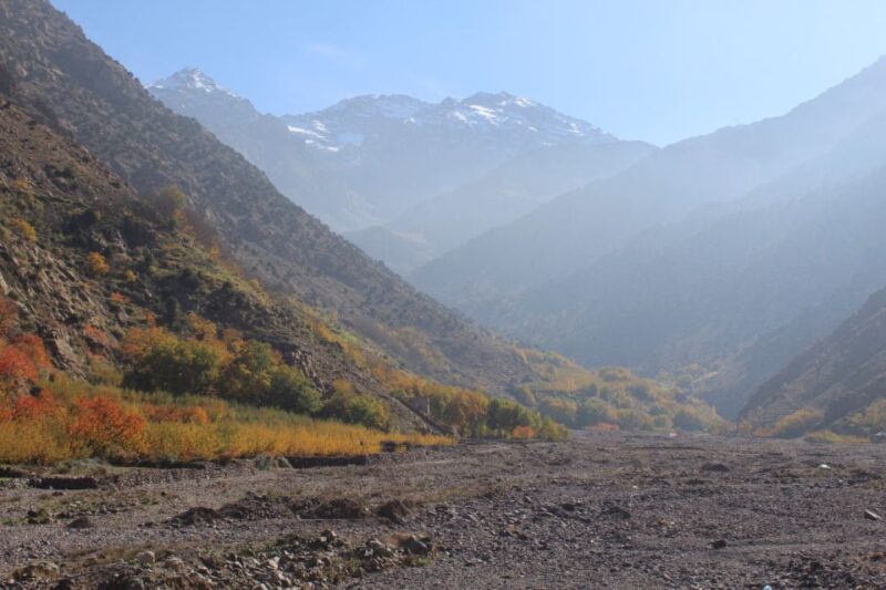 From Marrakech: Imlil and Waterfalls Day Trip With Lunch - Transportation and Inclusions