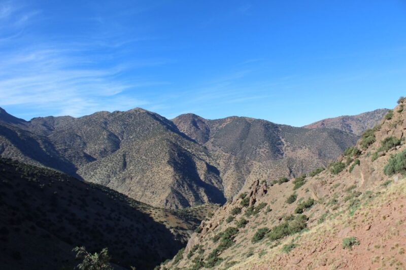 From Marrakech: Imlil and Waterfalls Day Trip With Lunch - Participant Information