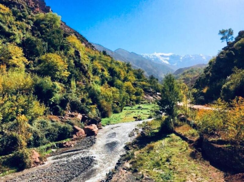 From Marrakech: Imlil Village and Kik Plateau Day Trip - Transportation and Accessibility