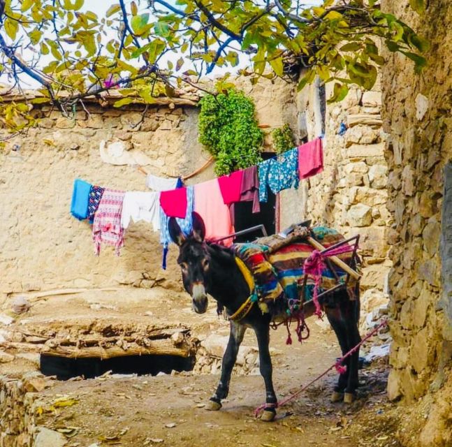 From Marrakech: Imlil Village and Kik Plateau Day Trip - Customer Reviews