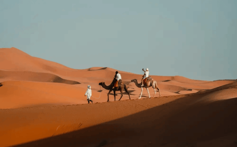 From Marrakech: Magical 3-Day Desert Tour to Fes Via Sahara - Itinerary Highlights
